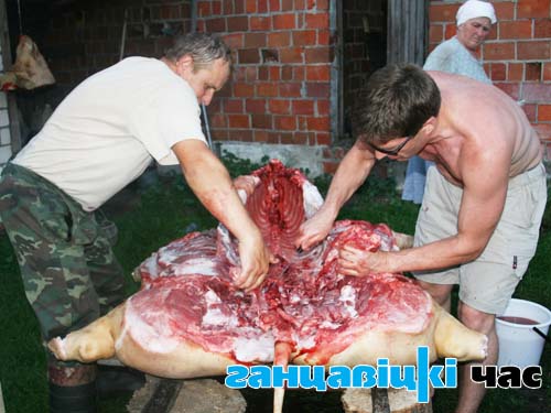 Паведамленні аб распаўсюджванні па Беларусі афрыканскай чумы свіней усхвалявалі жыхароў Ганцаўшчыны ў ліпені, нарадзілі шмат чутак і страхаў