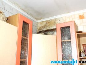 Что делать, если вас затопили соседи?