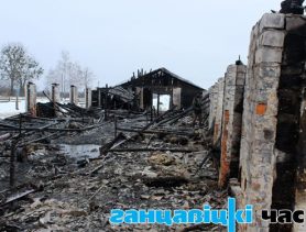 СПК «Огаревичи» нанесён ущёрб в 230 млн рублей