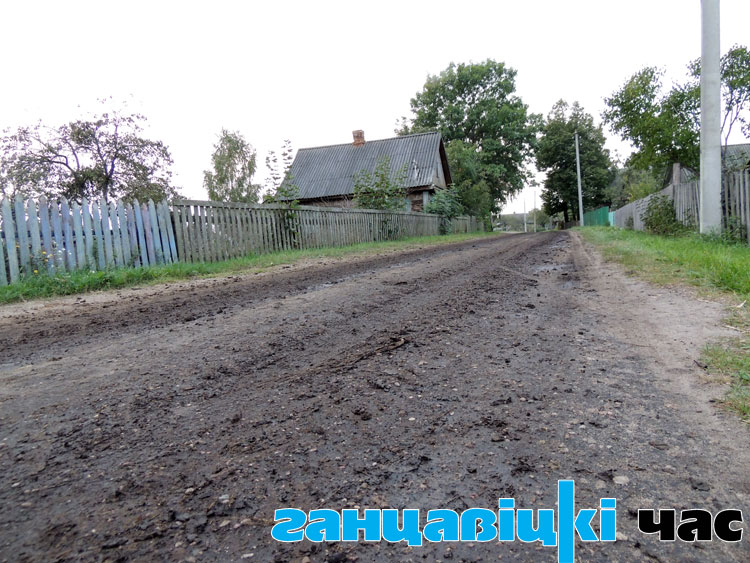 В Ельно навозом удобрили дорогу