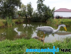 Аграсядзіба “Сваяк”