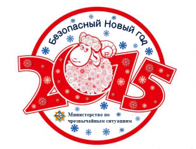 Акция «Безопасный Новый год!»