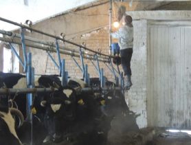 Чаго чакаць калгаснікам ад рэформы СВК?