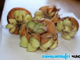 І. Муха: “Такога цуда ў мяне яшчэ не было”