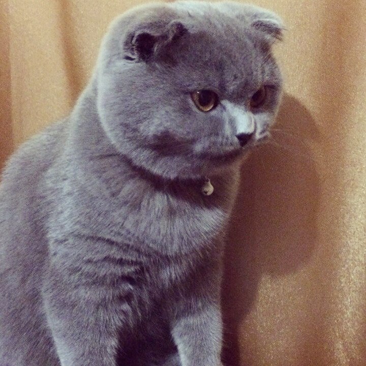 нее,это я не аквариум открыть хотела
