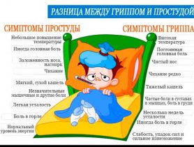 Как не заболеть нынешней зимой