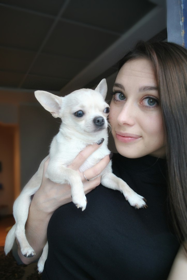 Шелдон со своей хозяйкой