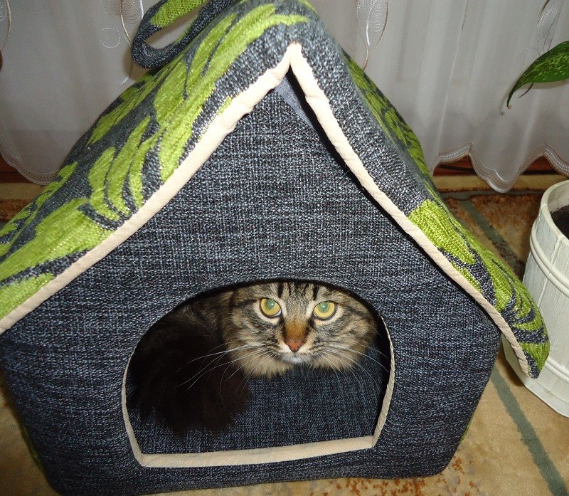 Личный домик кота Тимофея