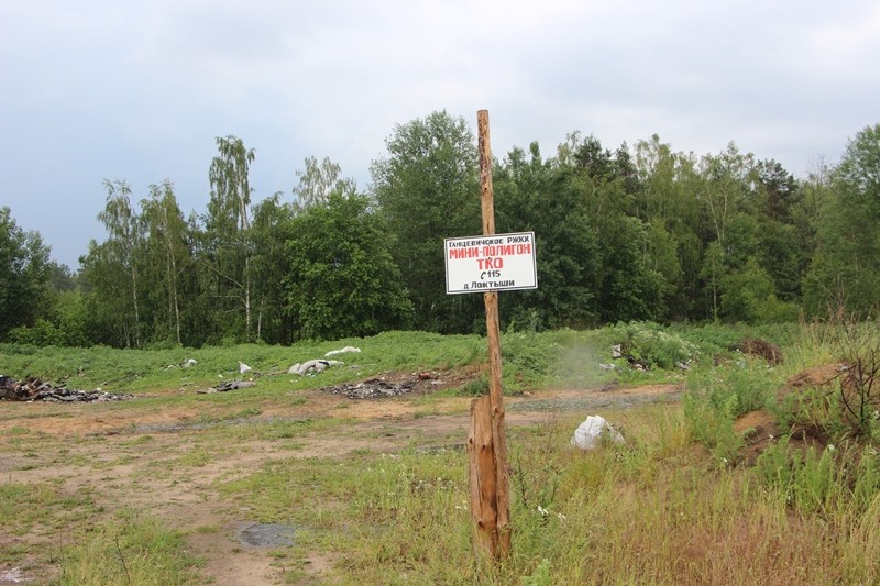 Полигон в д. Локтыши, где закапывают свиней