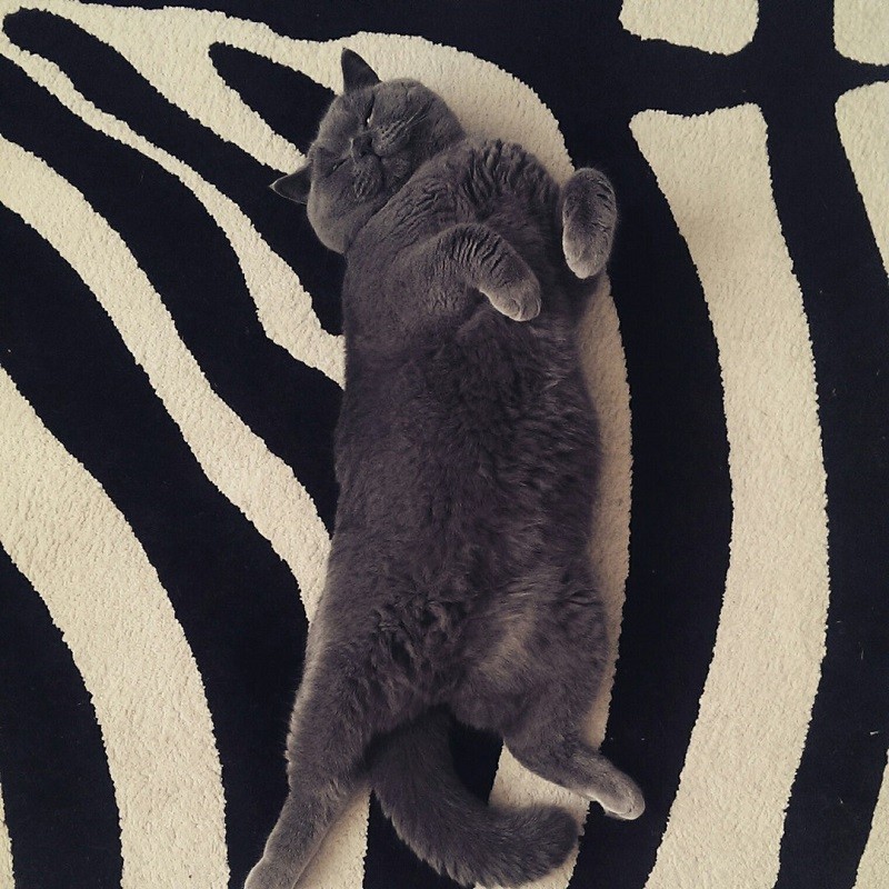 Оливер
