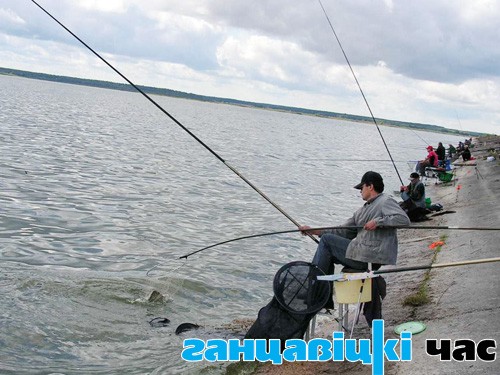 Рыбачить на озере Диком можно бесплатно