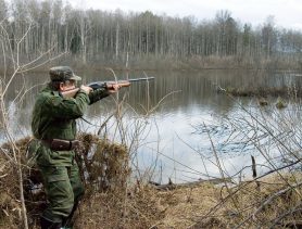 Сезон охоты на зайца и белку стартует в ноябре