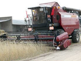 Сельское хозяйство Ганцевщины в цифрах и фактах