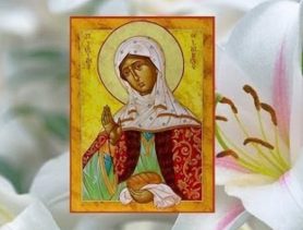 «Подарим радость на Рождество»