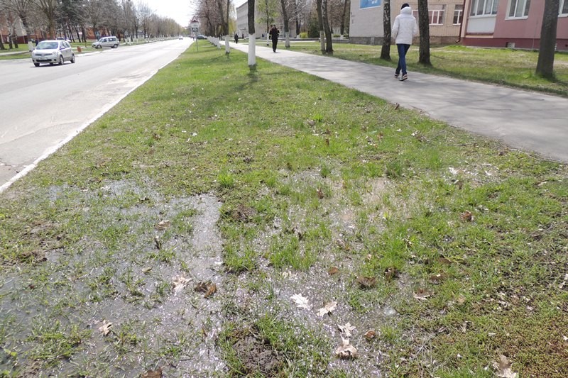 Вода уже не успевает впитываться, и за неделю здесь образовалась лужа