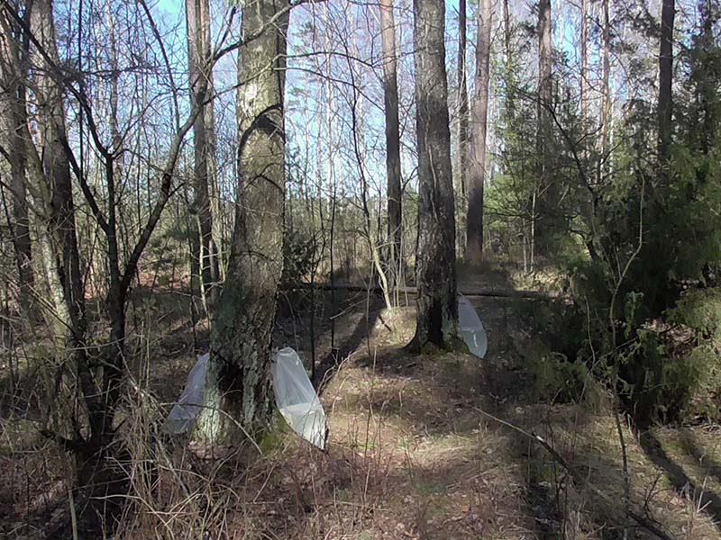 Фото предоставлено госинспекцией