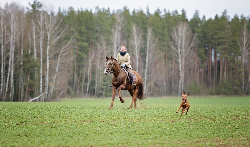 Фото Александра Сапожникова