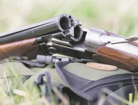 В Любашево неспокойно
