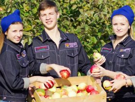 Где заработать на каникулах?