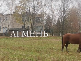 Документальный фильм “Агмень” о жизни в д. Локтыши “прошивает” – мама не горюй