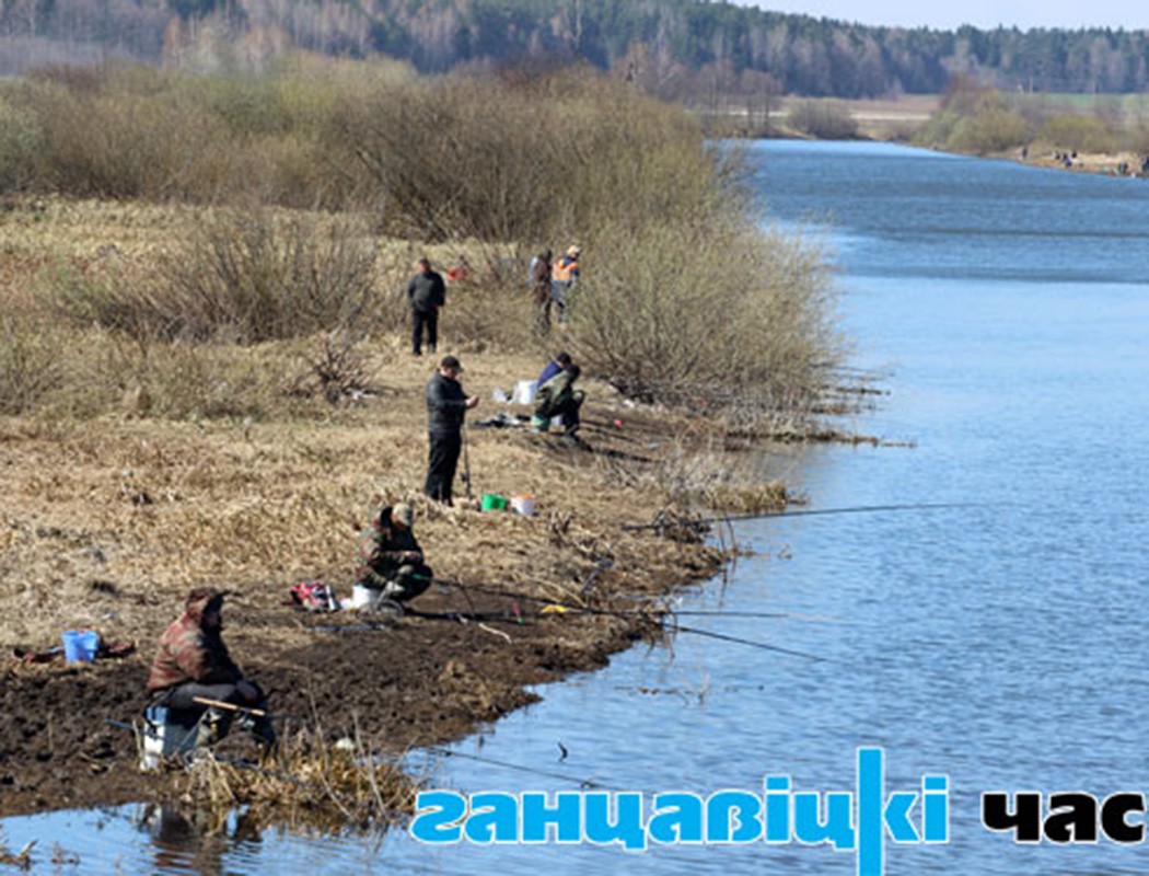 Арендовать реки Президент запретил: рыбалка будет бесплатной