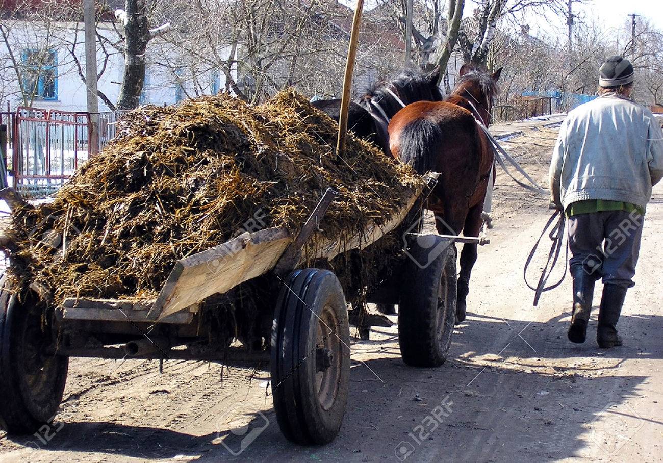 В деревне Ганцевичи навозную жижу по улицам больше возить не будут
