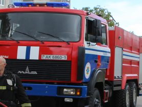 Пропавшего сына разыскивала милиция, потерявшегося ягодника – РОЧС