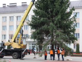 В центре Ганцевичей установили новогоднюю ель (фотофакт)