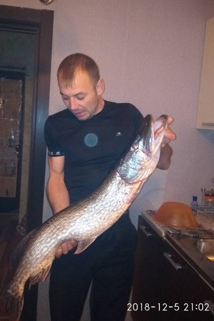 Александр Швайко