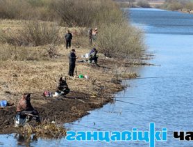 Неравнодушных к природе приглашают на уборку