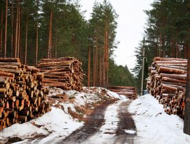 Аб небяспечнай працы на лесапункце