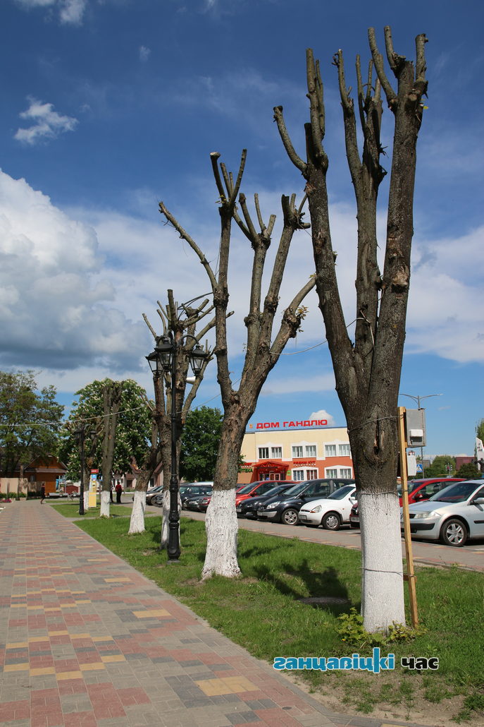 Обрезка деревьев в Ганцевичах