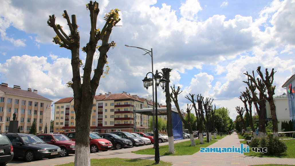 Обрезка деревьев в Ганцевичах