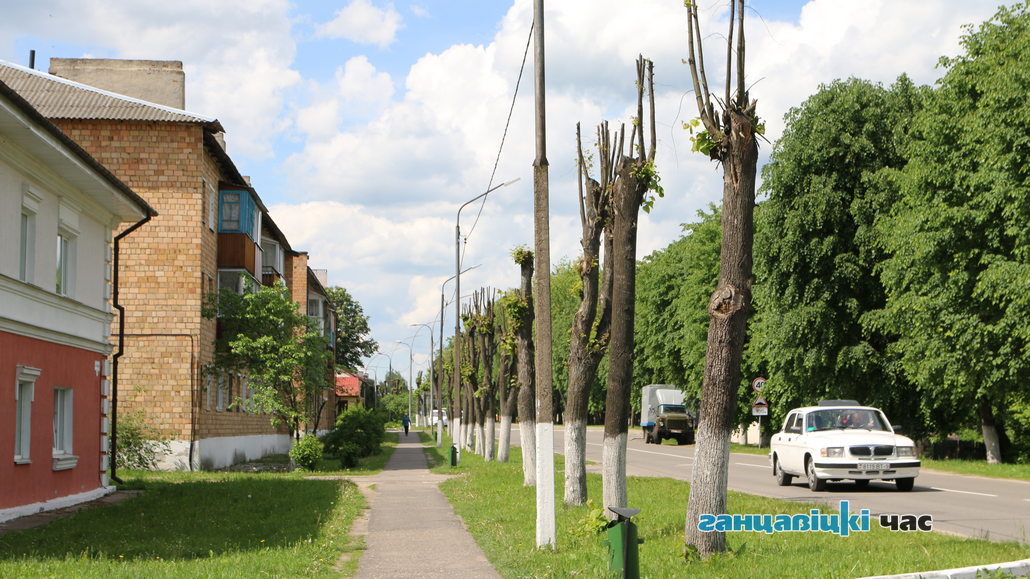 Обрезка деревьев в Ганцевичах