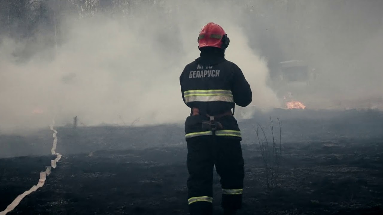 Фото носит иллюстративный характер