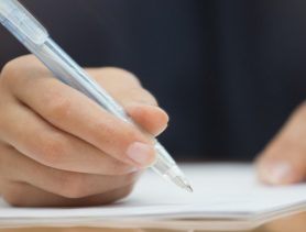 Чудзінская школа пад знешнім і ўнутраным кантролем