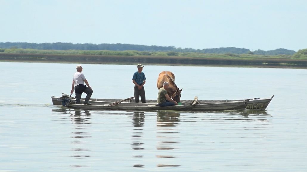 Фестиваль юмора «Спораўскія жарты» в Березовском районе