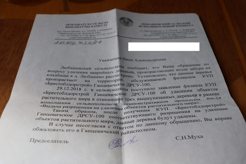 Жительница Любашево просит убрать три клёна возле кладбища