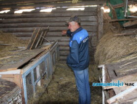 Жыхары в. Лактышы скардзяцца на набегі невядомых жывёл
