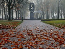 Дожди, туман, гололедица: какая погода будет в первой половине недели