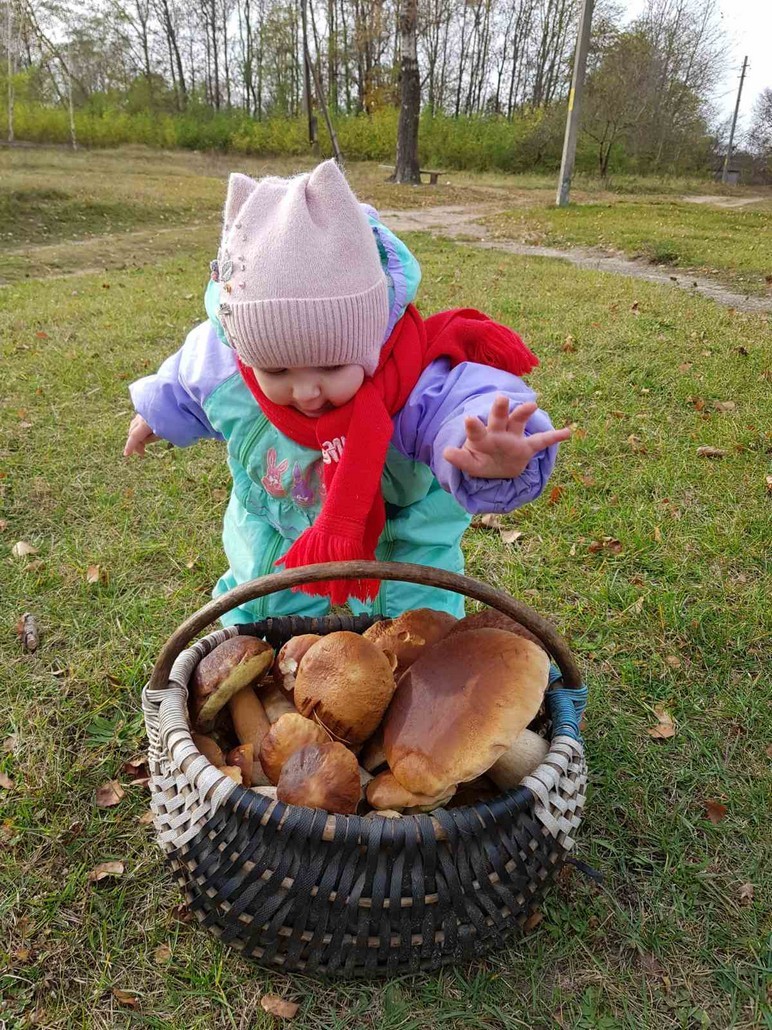 Грибы есть. Какие