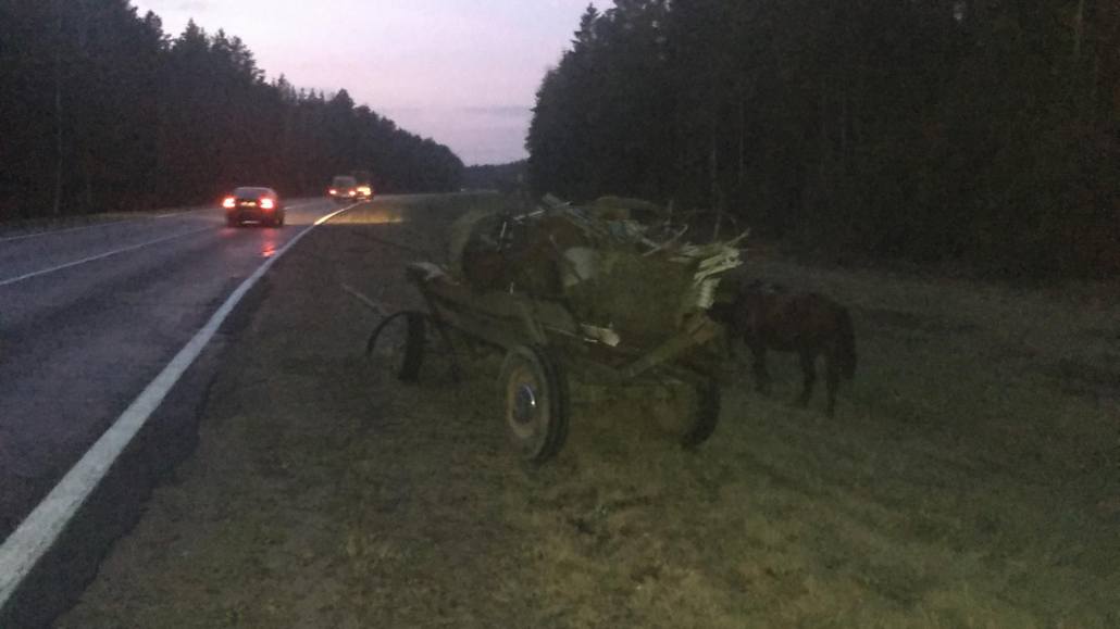 ДТП на границе Ганцевичского и Клецкого районов, 13 ноября 2019 года