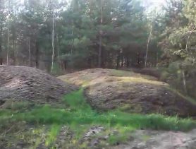 Более 80 тонн зерноотходов незаконно свалили у пруда Бобрик в Ганцевичском районе