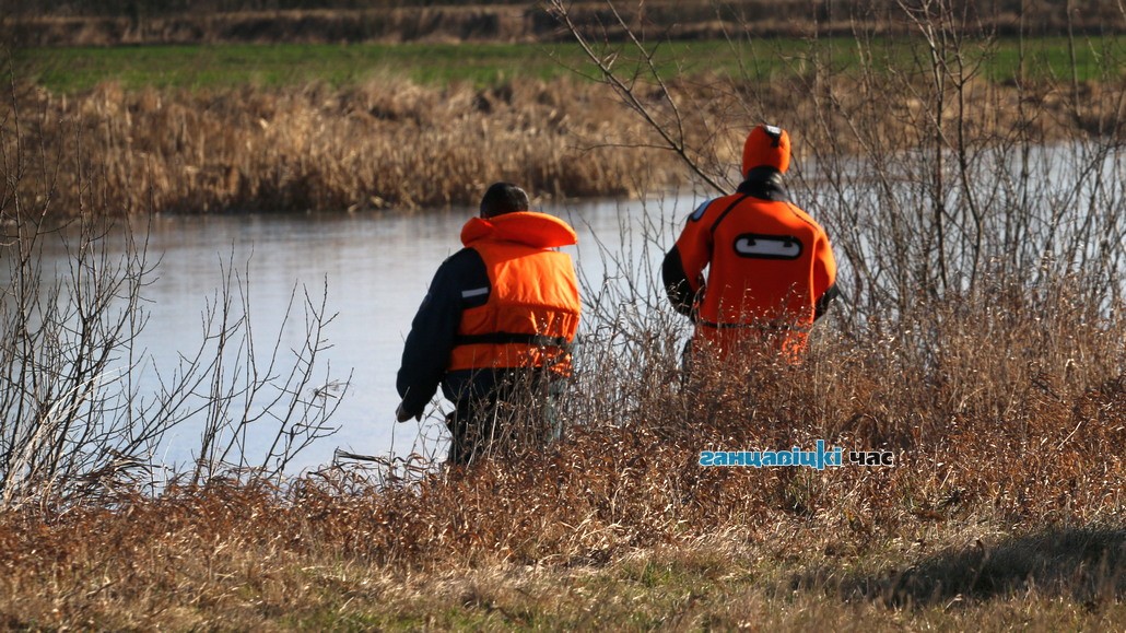 В Ганцевичах спасатели выехали на помощь двум лебедям