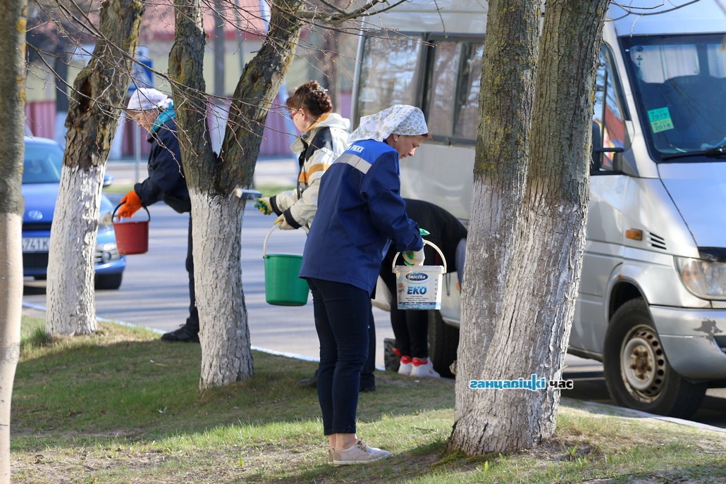Скоро Пасха: в Ганцевичах белят бордюры и деревья