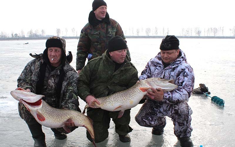 Такая рыбка ловится на водохранищеле Локтыши в Ганцевичском районе / 