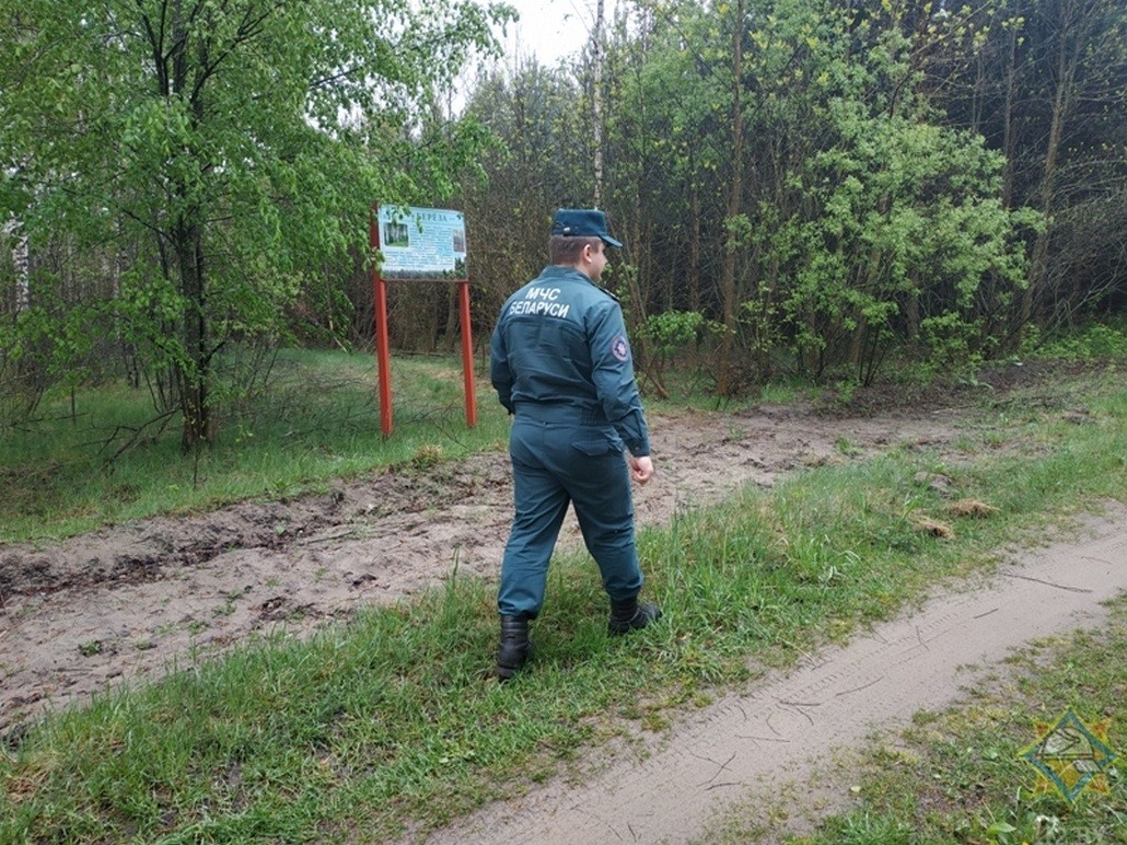 Спасатели проводят рейды по фактам выжигания сухой растительности, которая может привести к возгоранию леса