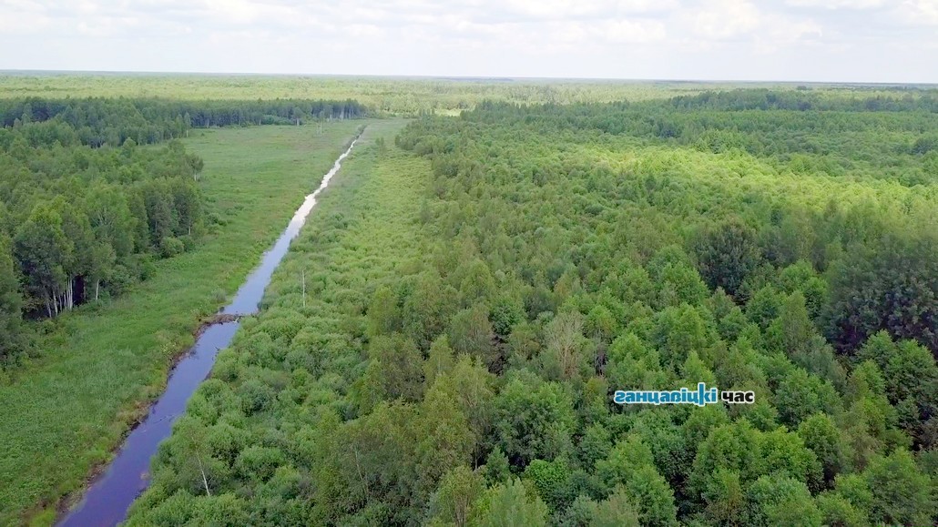 Что по погоде? Прогноз синоптиков на выходные