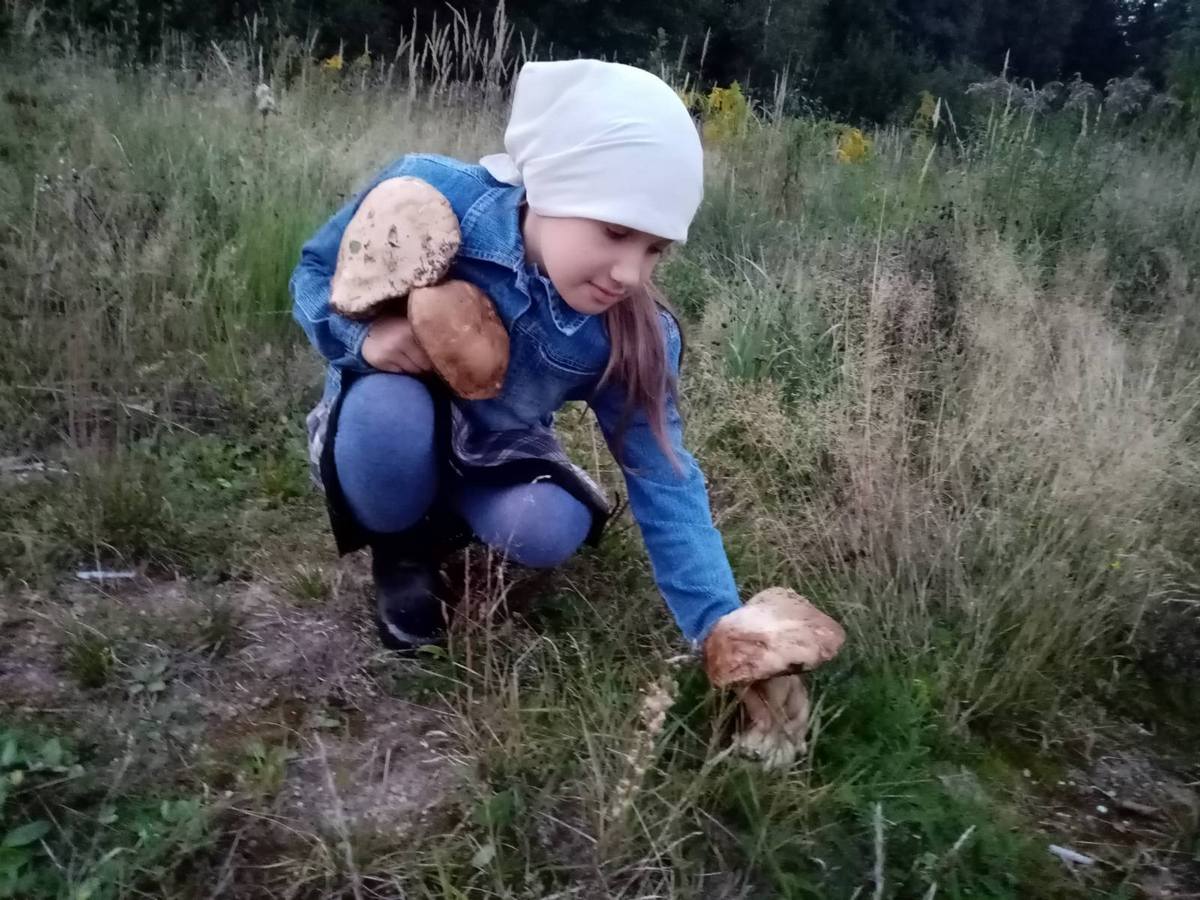 Грибная пора в Ганцевичах
