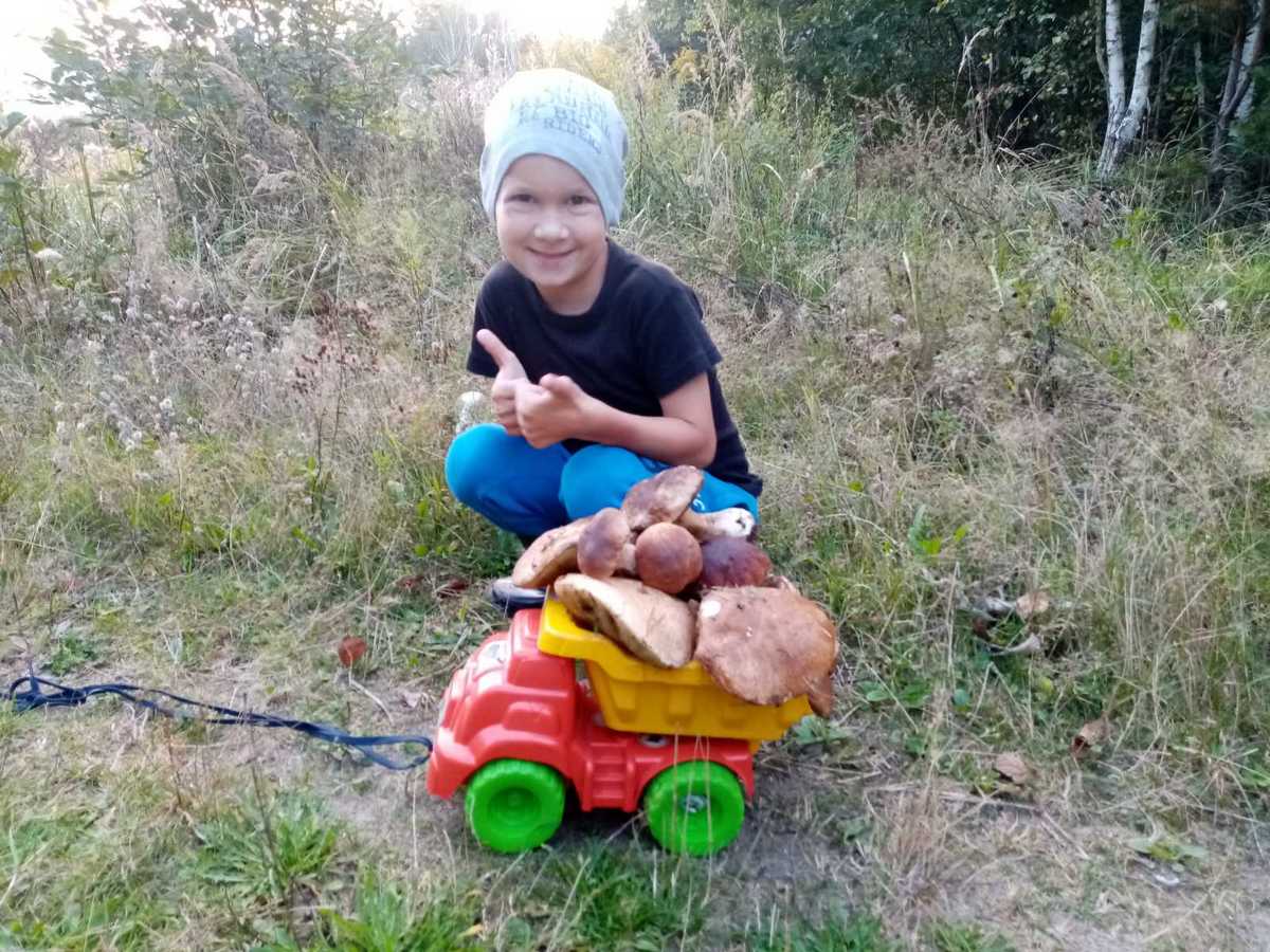 Грибная пора в Ганцевичах